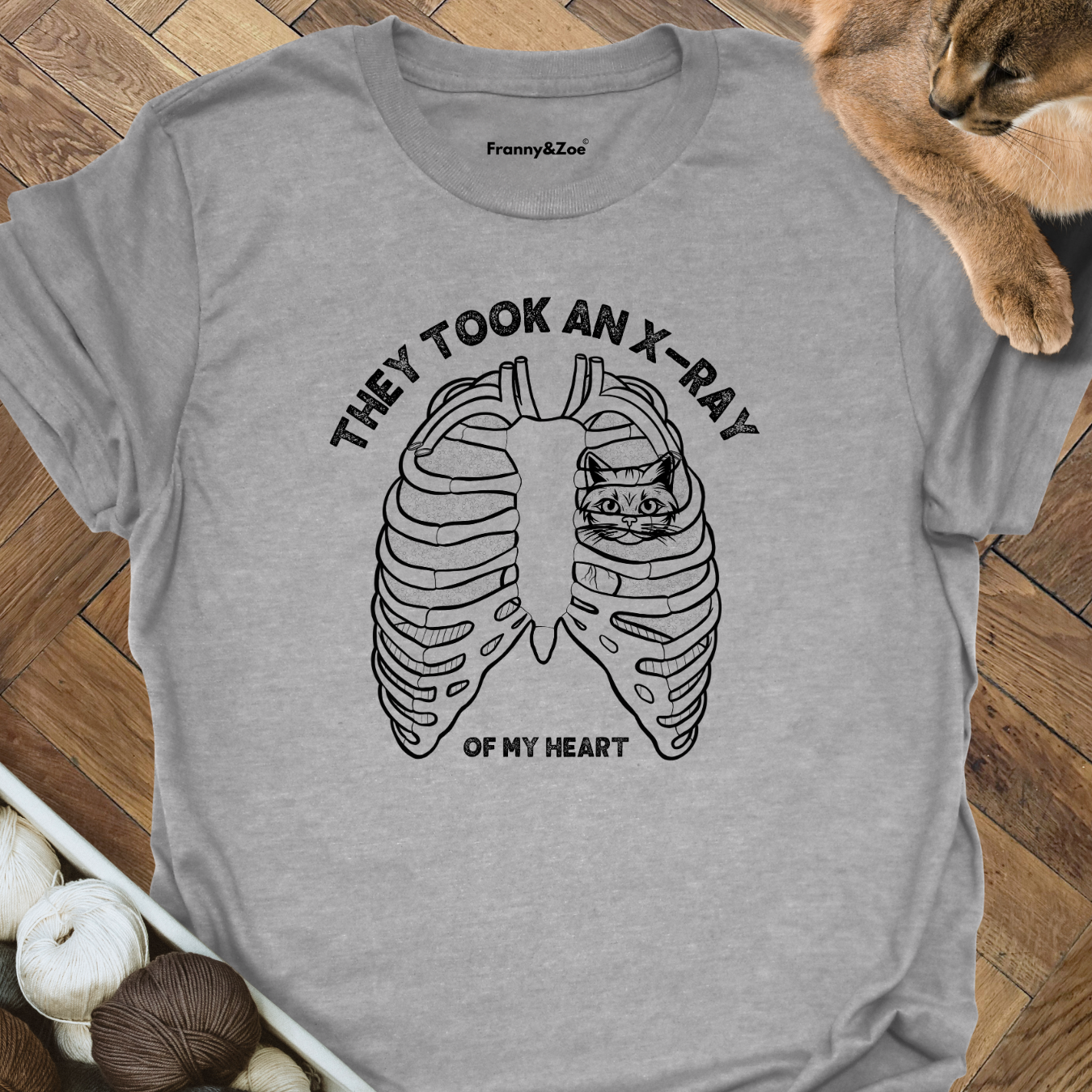 X-Ray Cat
