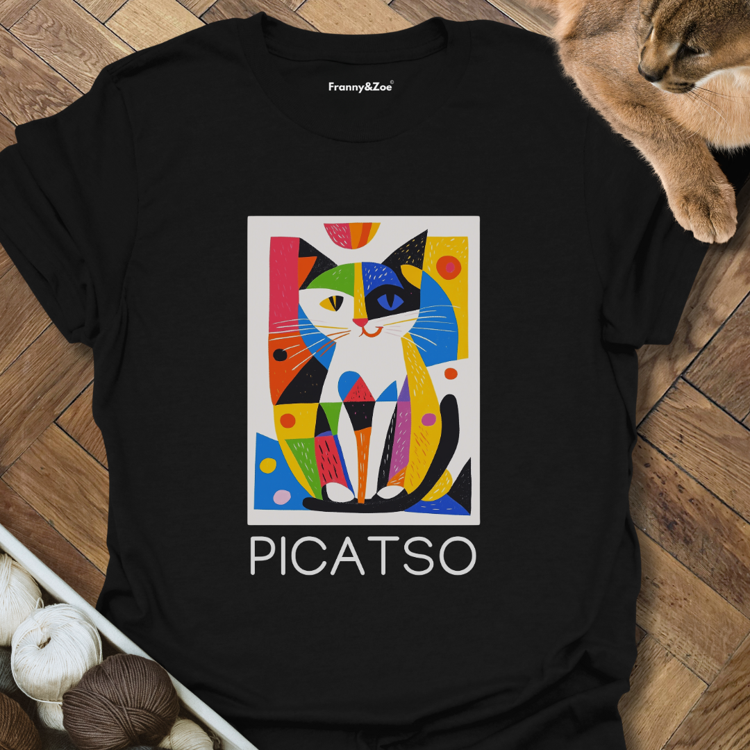 PICATSO T-Shirt