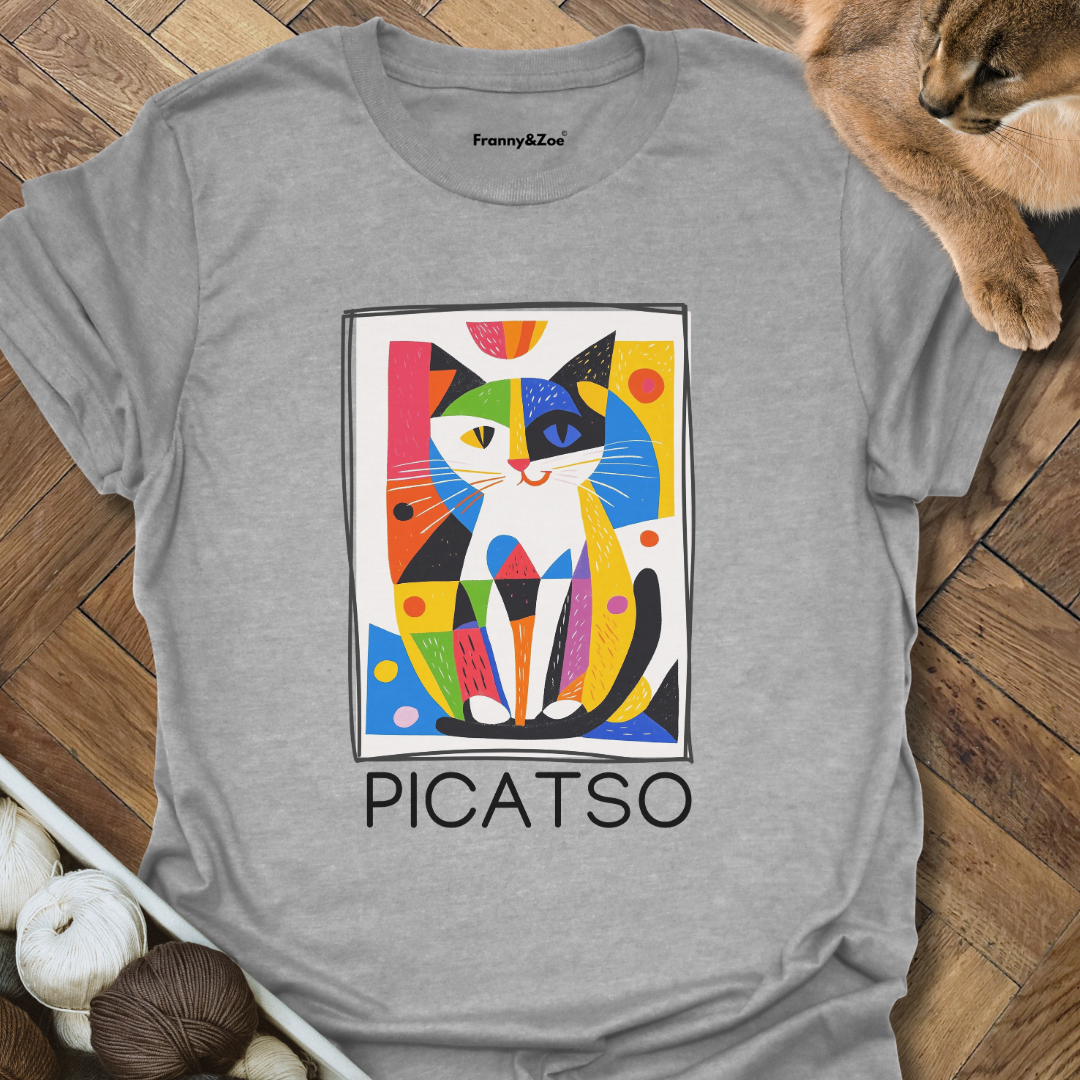 PICATSO T-Shirt