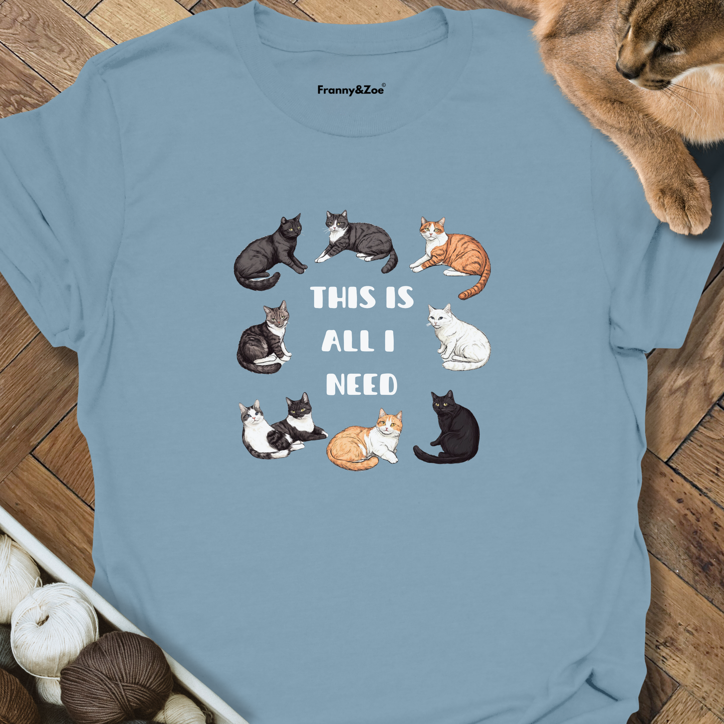 All I Need T-Shirt