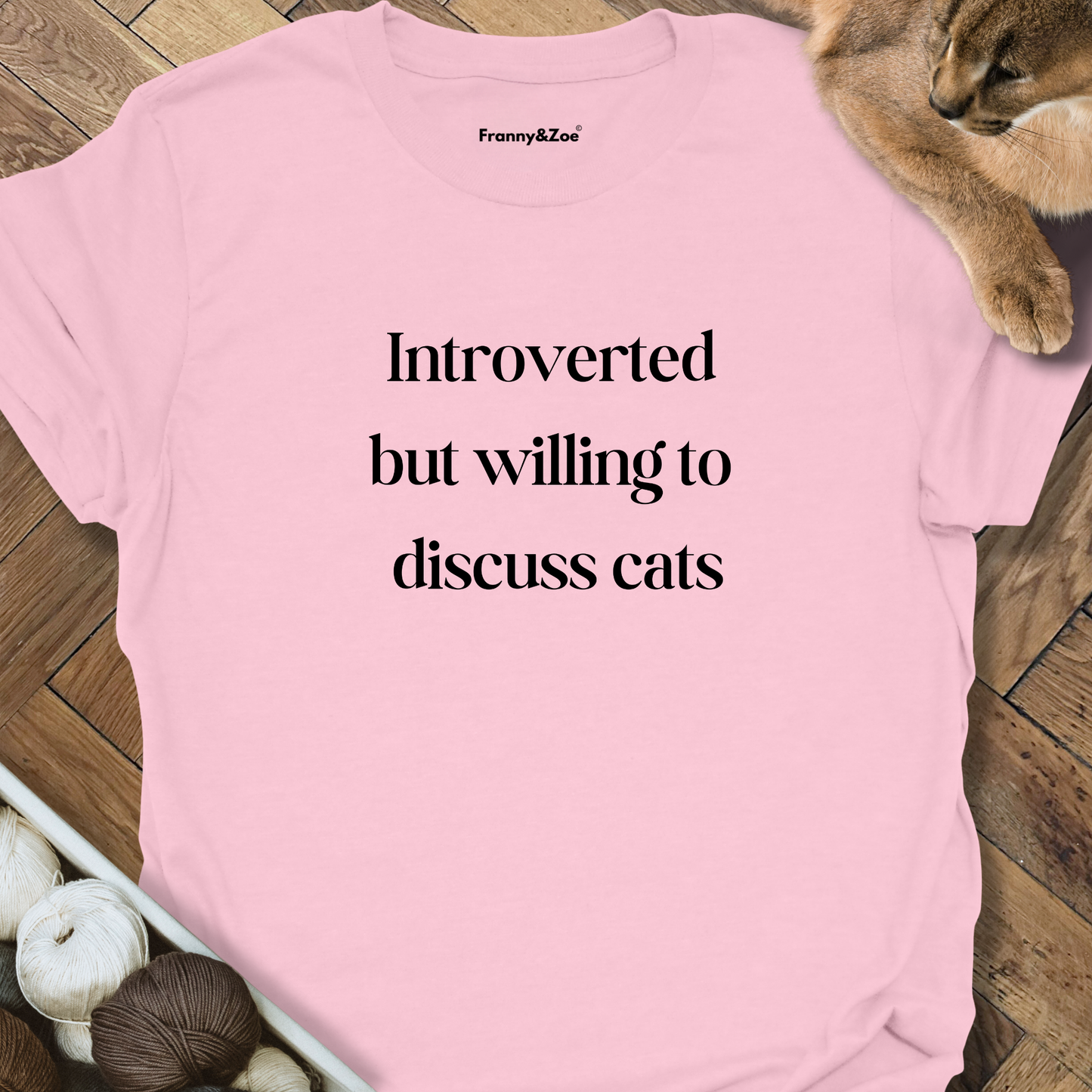 Introverted T-Shirt