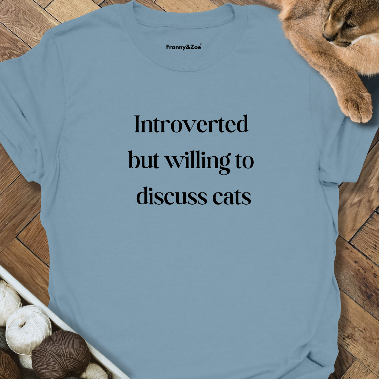 Introverted T-Shirt