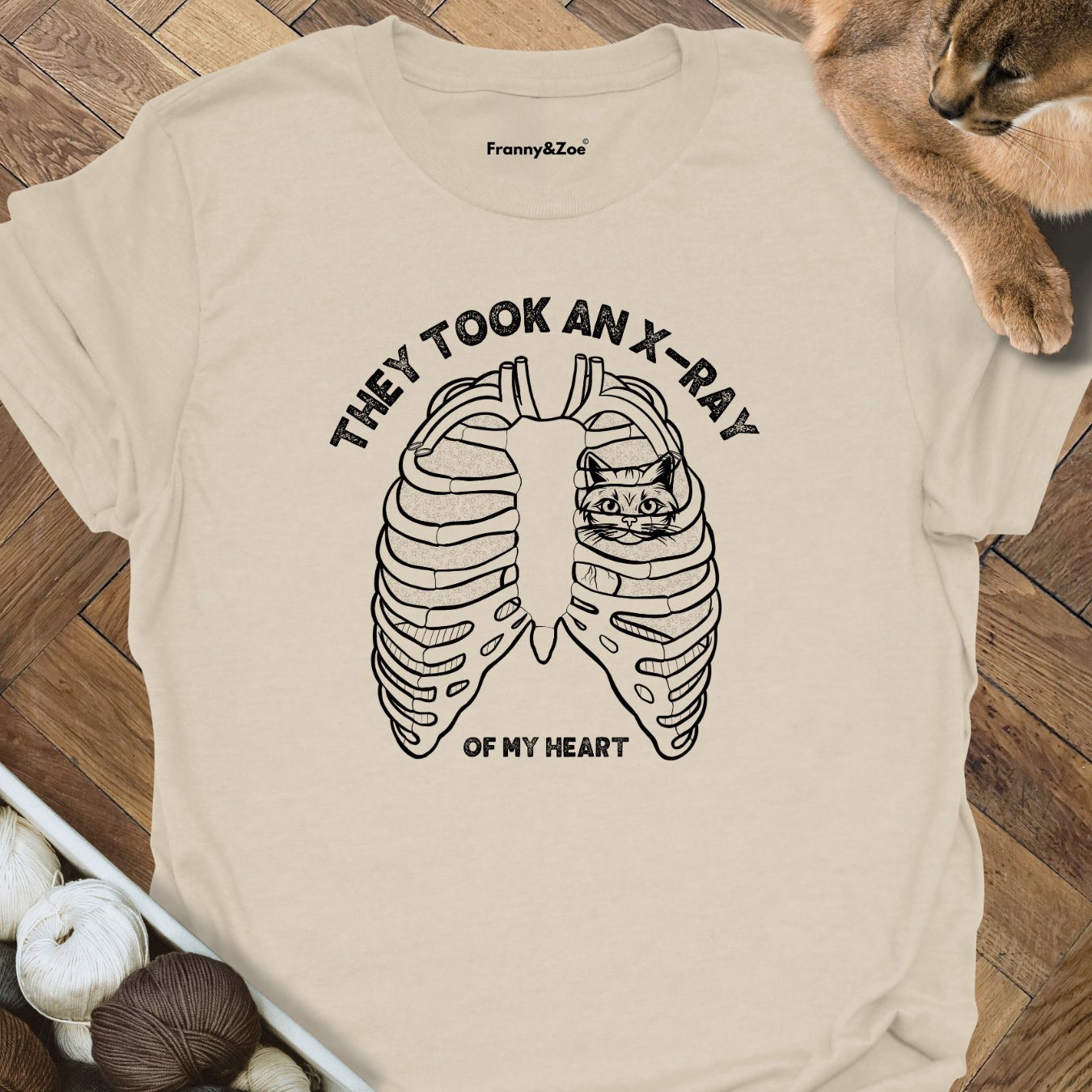 X-Ray Cat