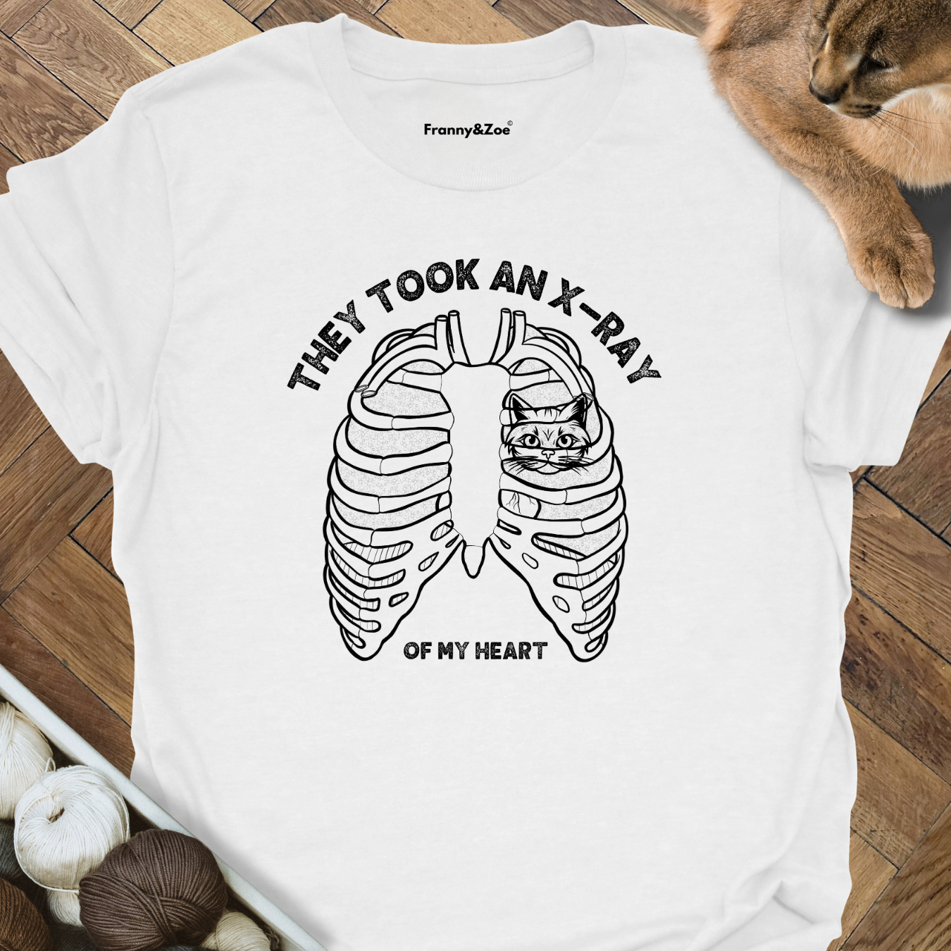 X-Ray Cat