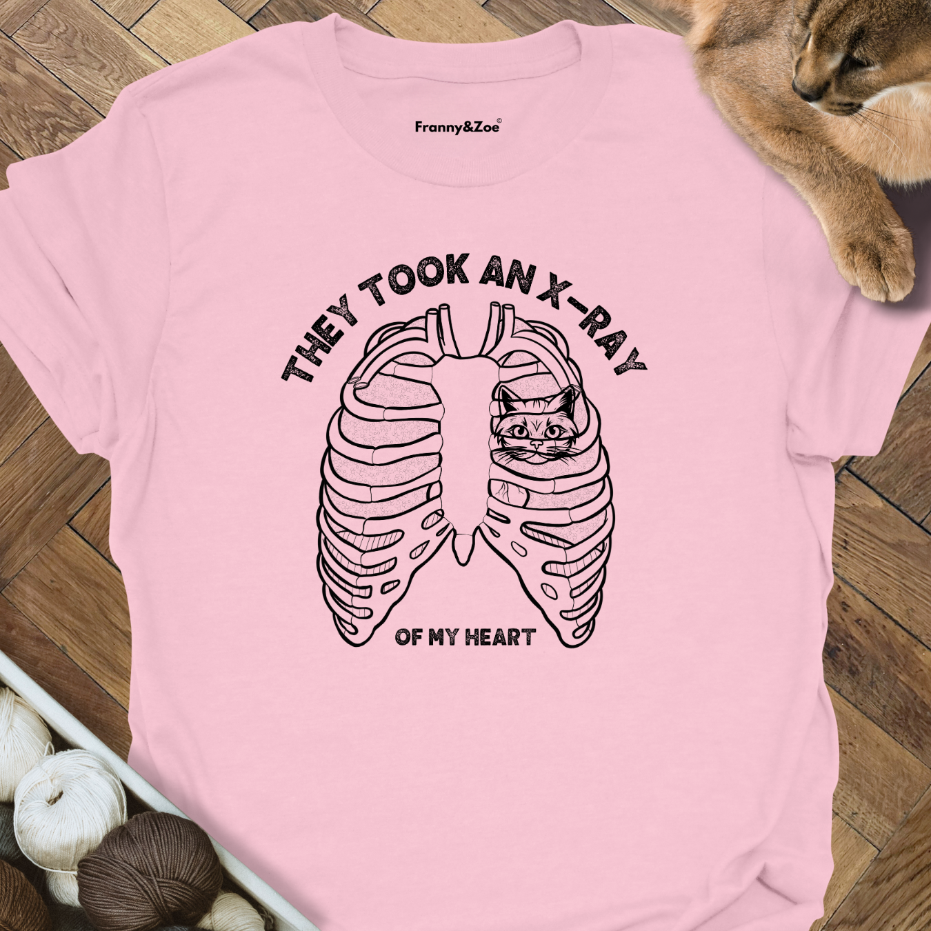 X-Ray Cat