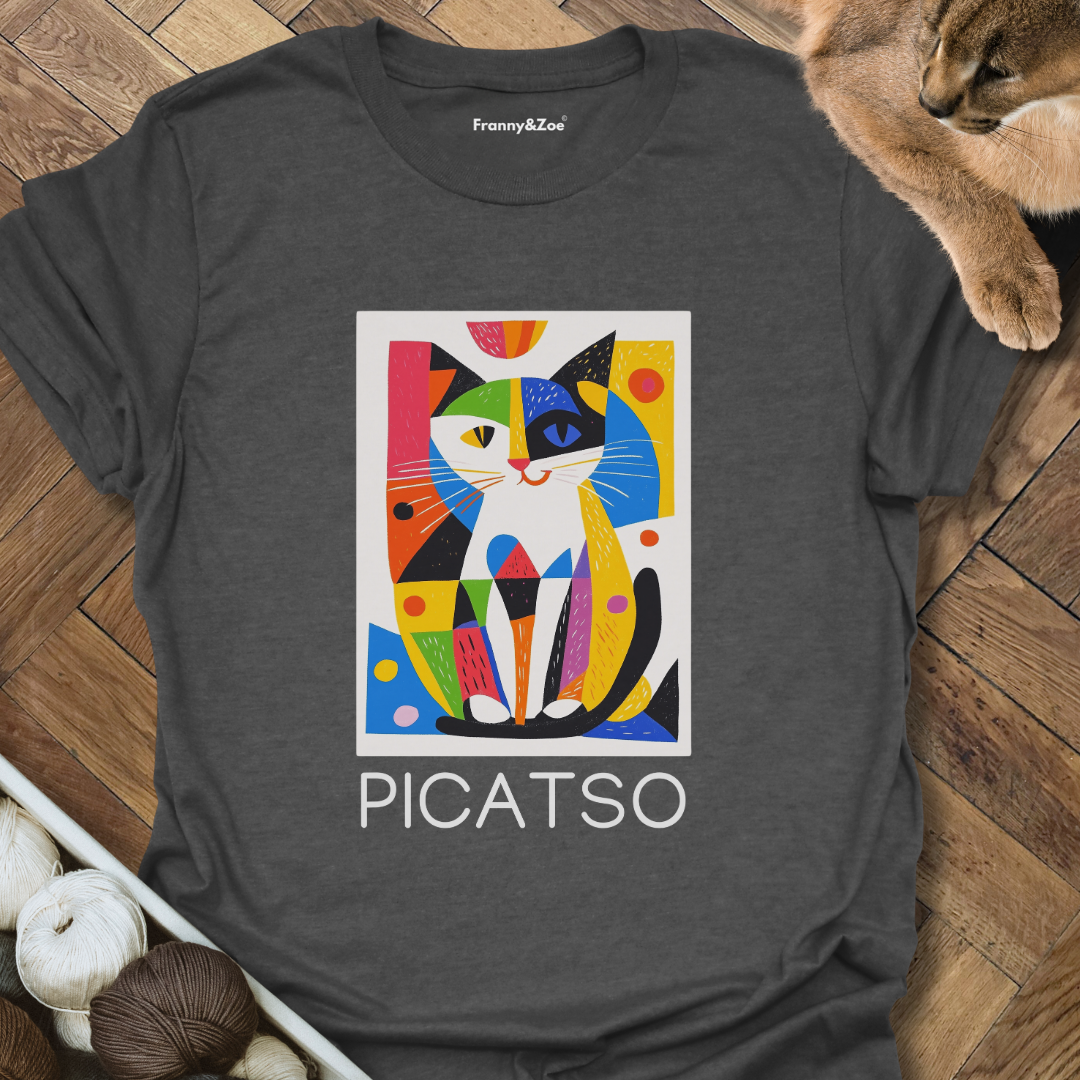 PICATSO T-Shirt