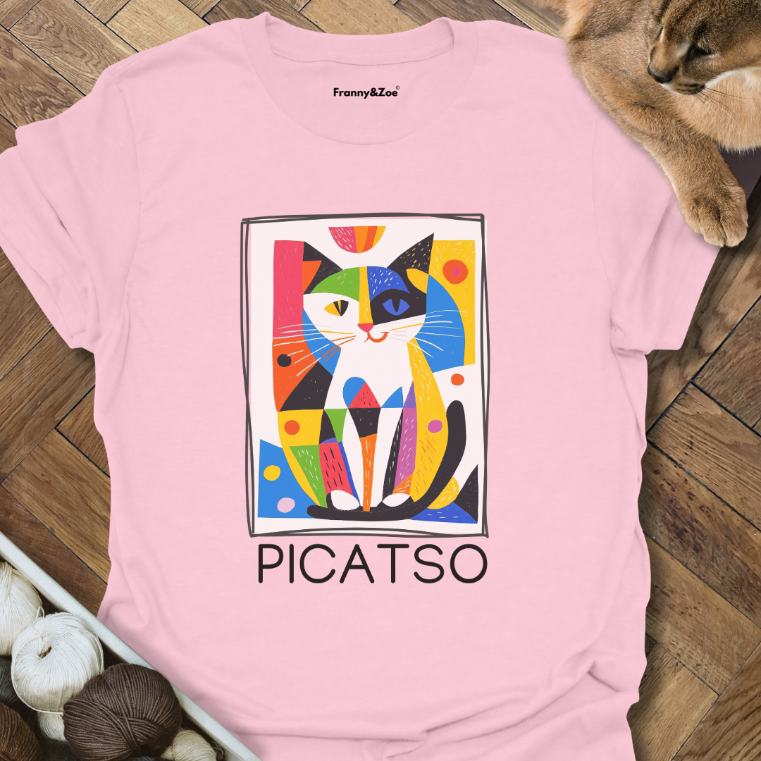PICATSO T-Shirt